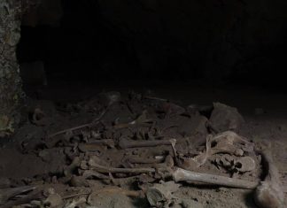 प्राचीन डीएनए अभ्यासात लडाख गुहेत हरवलेली हिमालयीन लोकसंख्या सापडली | पुणे बातम्या